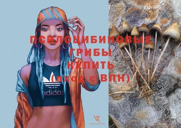 apvp Липки